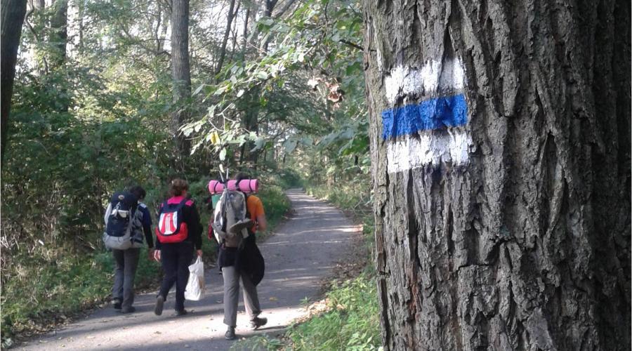 Kék jelzésű turistaúton a Duna mellett