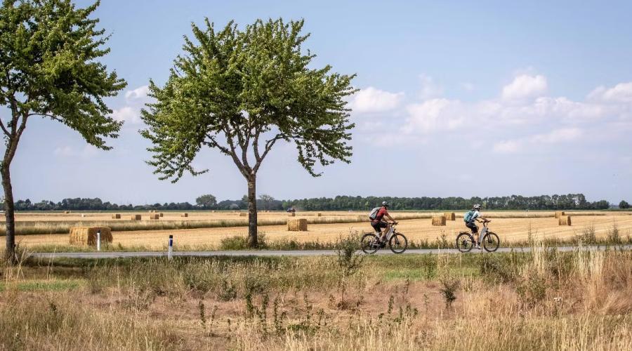 Foto: weinviertel.at