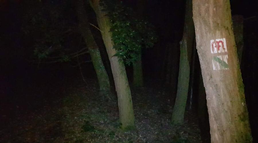 Kürt-Szőgyén Tanösvény és Mária Út éjszaka